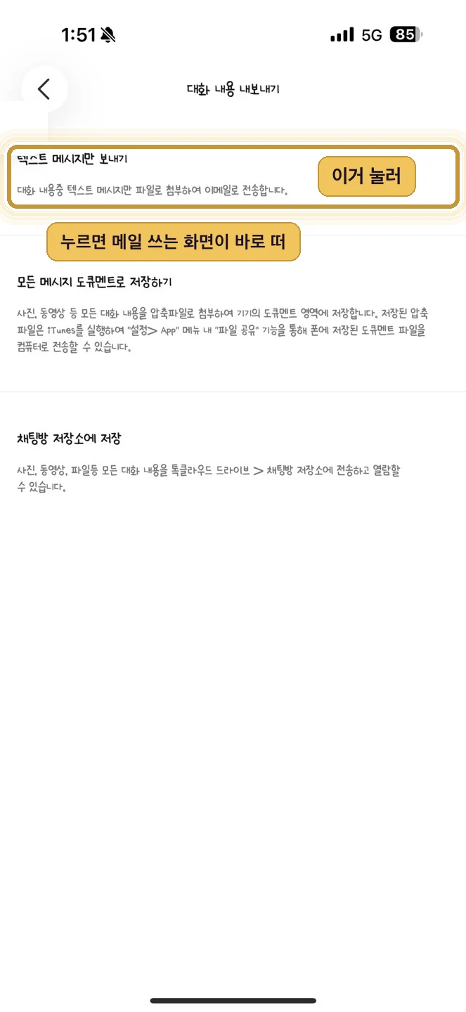 카카오톡 내보내기 방식 중 텍스트 메시지만 보내기 항목